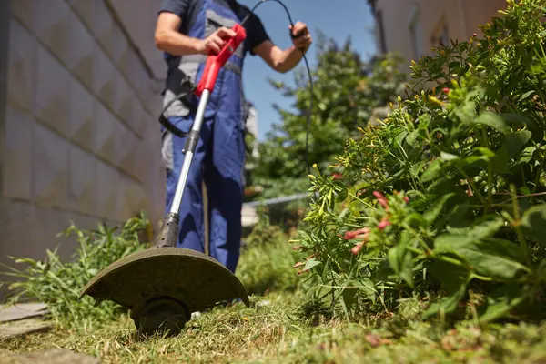 Καθαρισμός Οικοπέδων