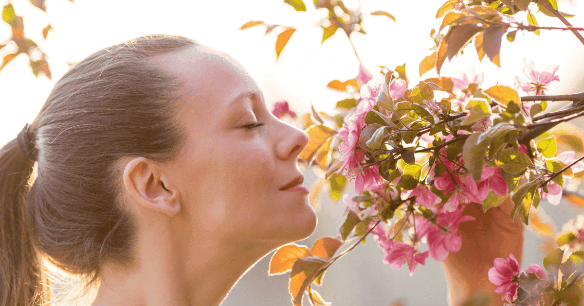 Αρωματα που μυριζουν καθαριοτητα